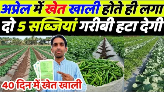 अप्रेल में खेत खाली होते